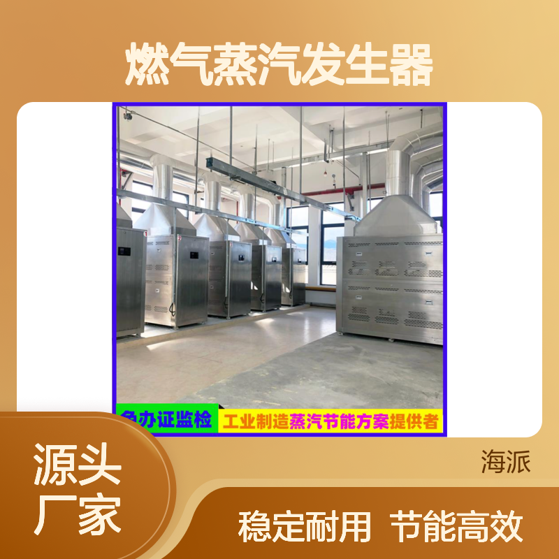 米尔燃气蒸汽发生器 化工制药专用