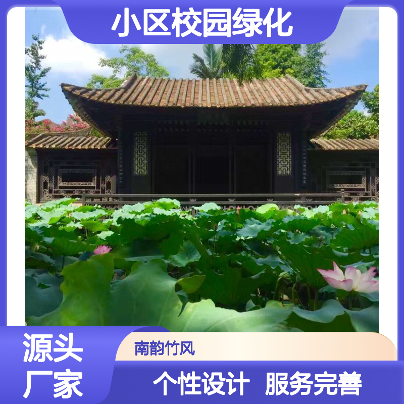 屋顶花园 小区校园绿化 修剪造型消杀一体化 分工明确 南韵竹风
