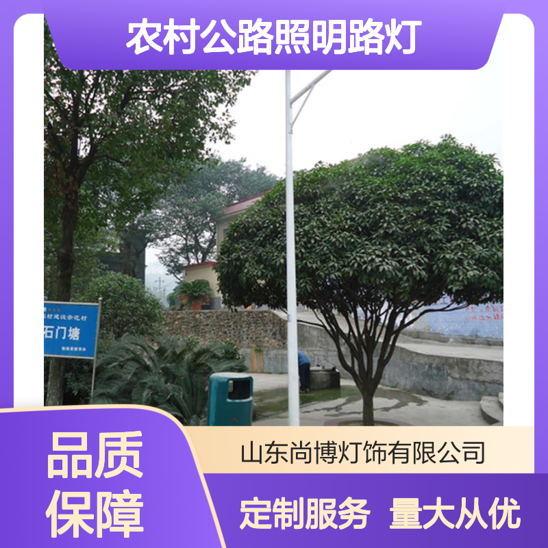 太阳能路灯 定制6米7米农村公路照明 高亮LED灯珠长寿命