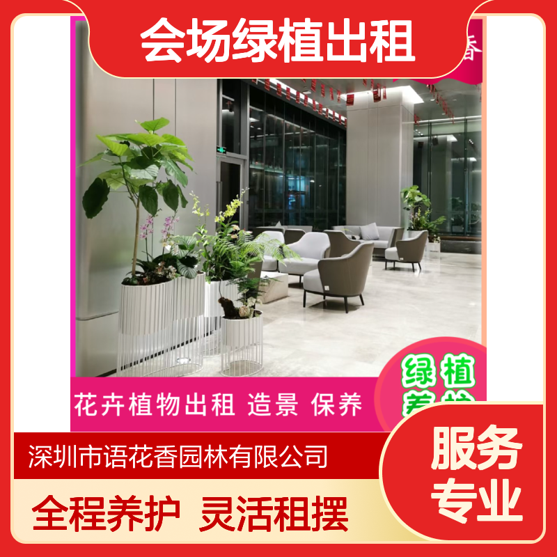会场绿植出租服务 发财树栀子花盆栽组合 长期短期灵活租赁