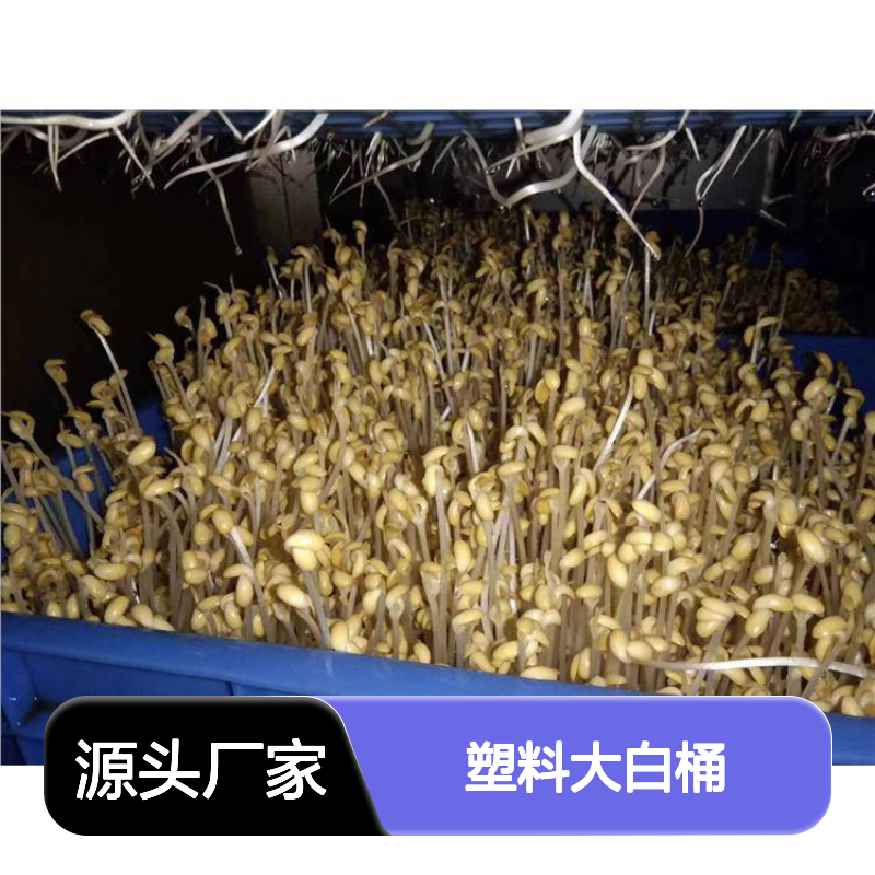 乔丰塑胶塑料大白桶 全新PE料耐用 破损包赔 环保无味