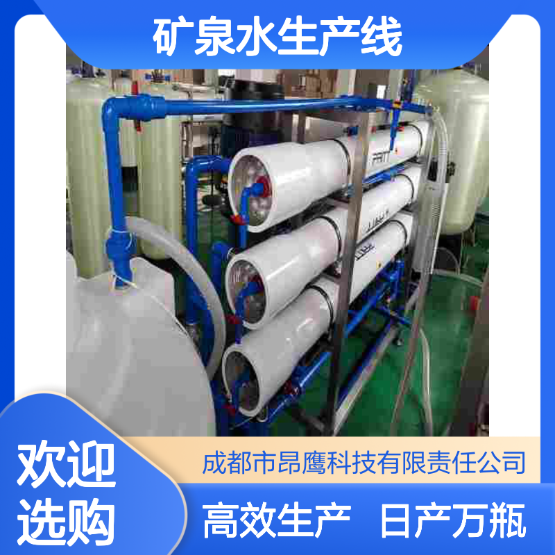大型全自动矿泉水生产线设备 工厂定制化 满足万瓶日产量