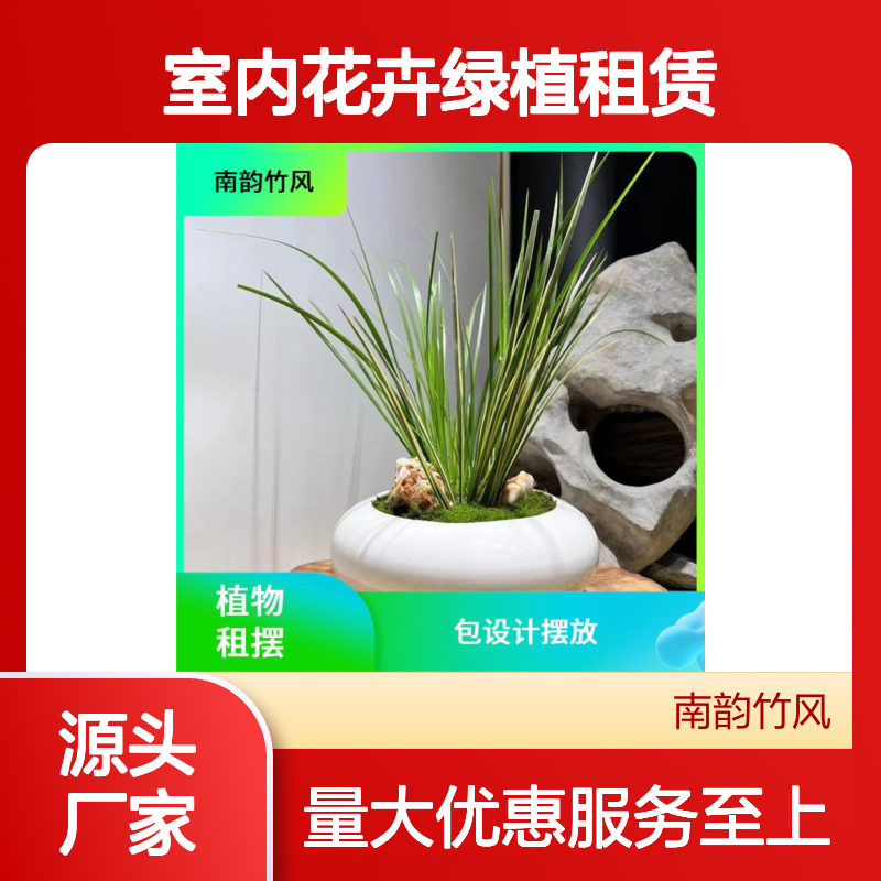 室内花卉绿植租赁服务 按需计算 量多更优惠 南韵竹风