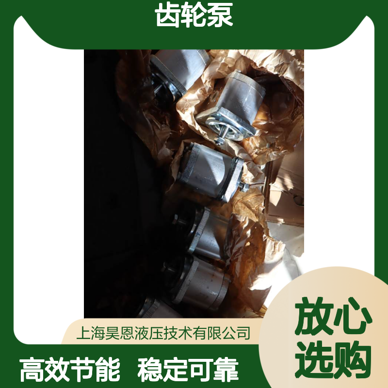 0510625033 AZPF-12-016RCB20MB 德国力士乐REXROTH 齿轮泵