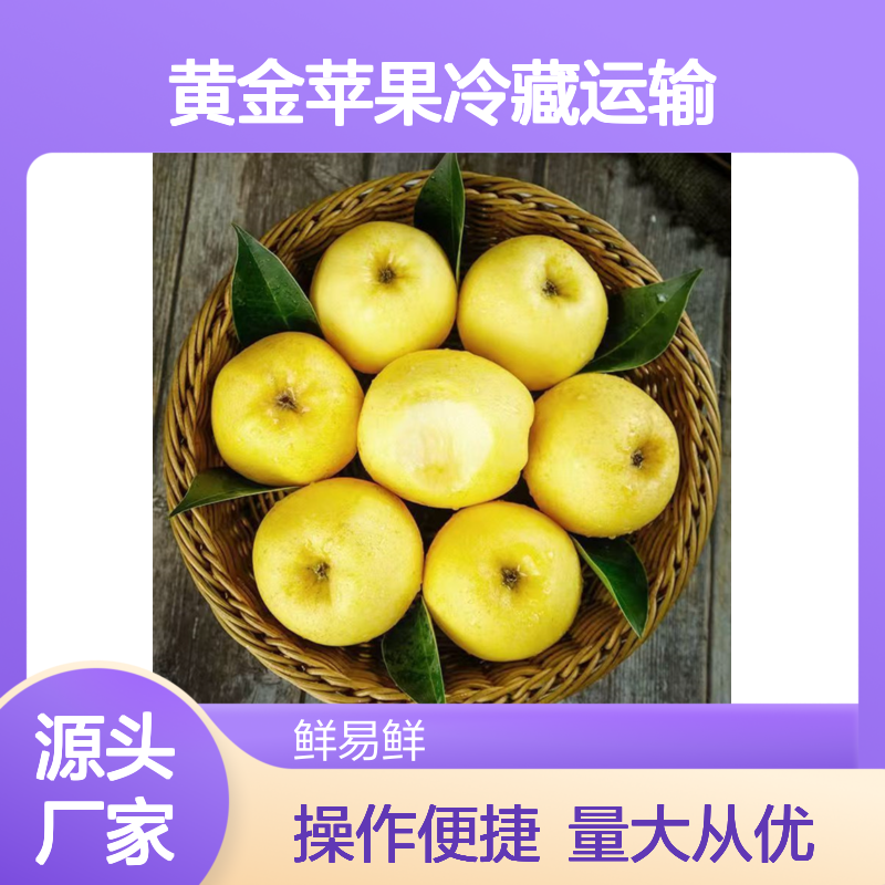 维纳斯黄金苹果冷藏运输 冷链物流直达 新鲜脆甜多汁