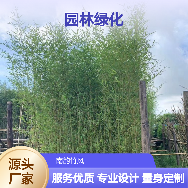 石岩园林绿化养护服务 小区庭院美化专家 风格多样