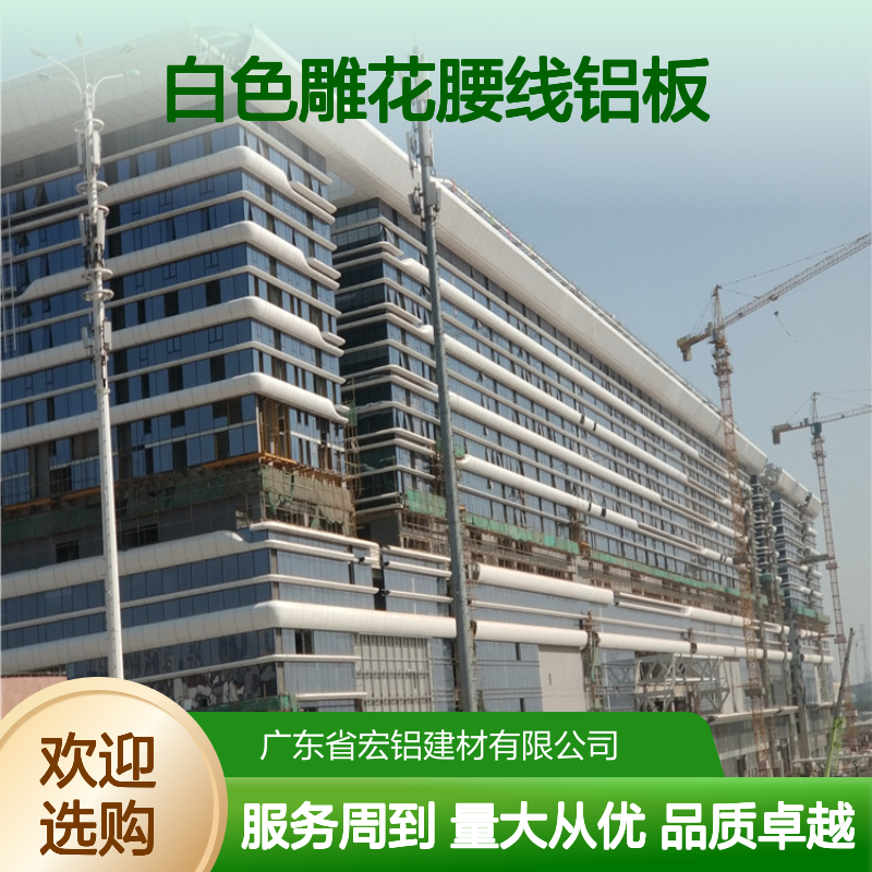 白色雕花腰线铝板 吊顶穿孔设计 装饰效果出众 适用多种场合