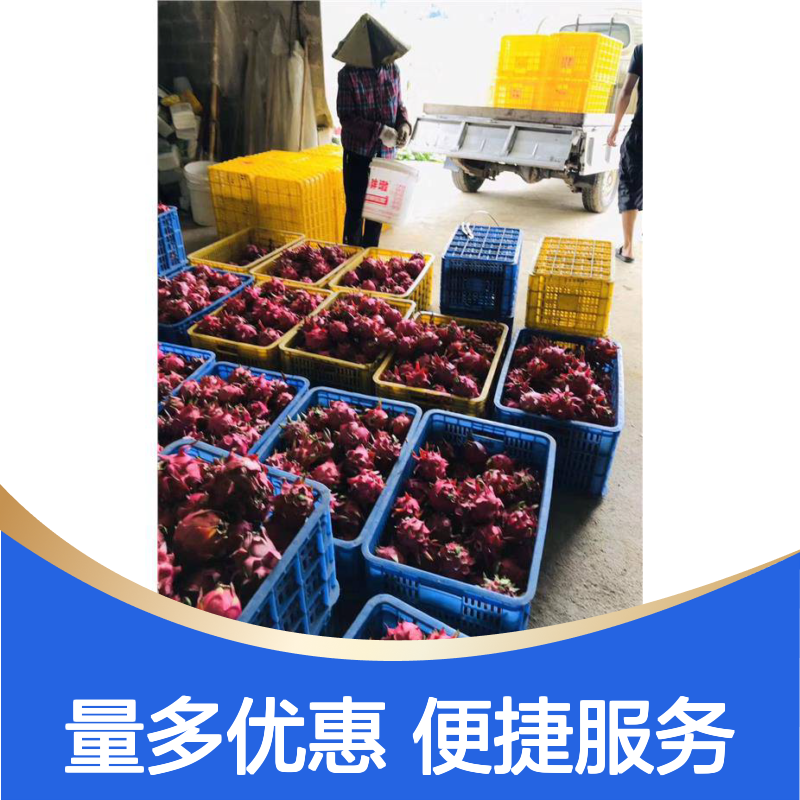乔丰塑料筐 全新料食品级 多种规格可选 耐用环保