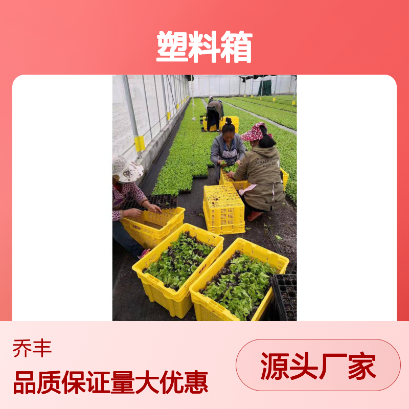 乔丰塑料箱周转便利耐用塑胶箱 质量上乘 多种尺寸