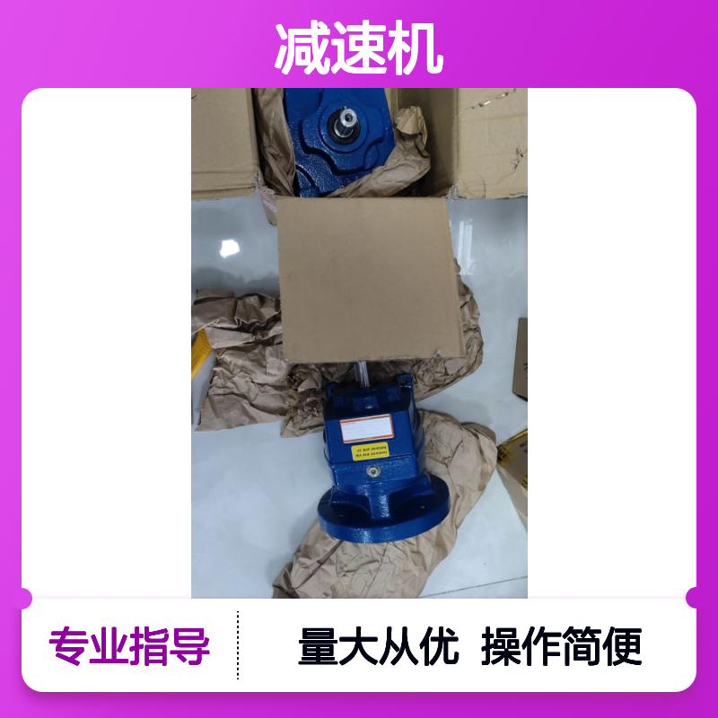 德国RADICON马达减速机 M02225.0BGCC1 高效传动 工业优选