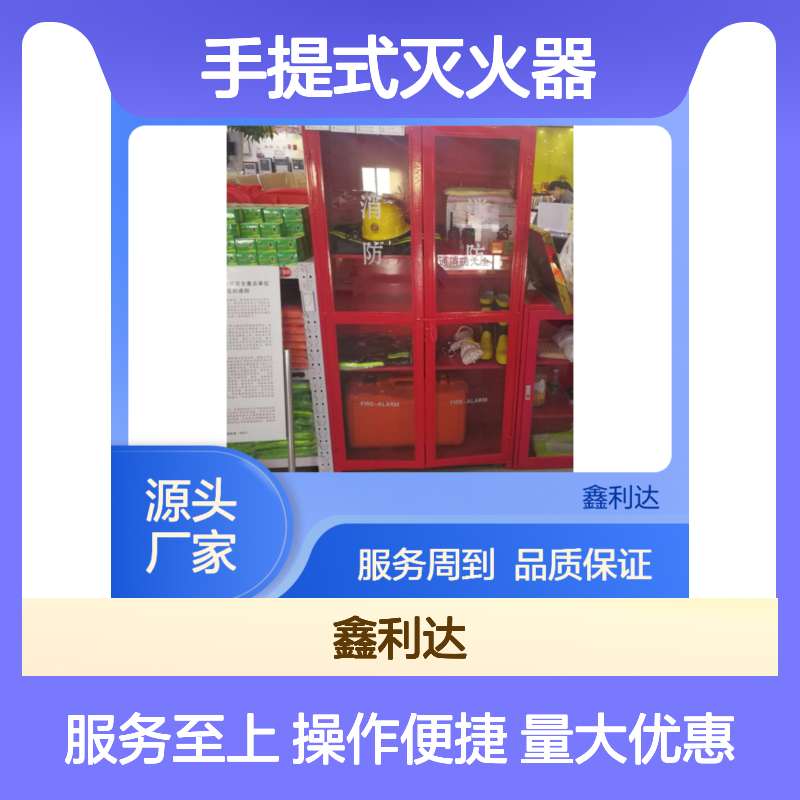 手提式灭火器 工地消防优选 操作灵活简便 品质保证