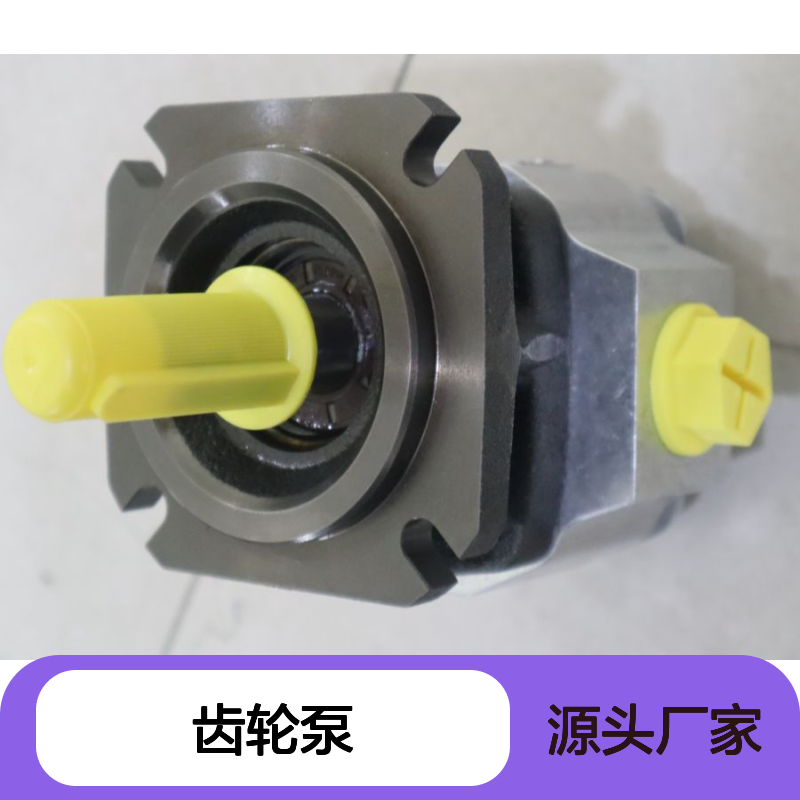PGF2-20/008RE01VE4 R900932266 德国力士乐REXROTH齿轮泵