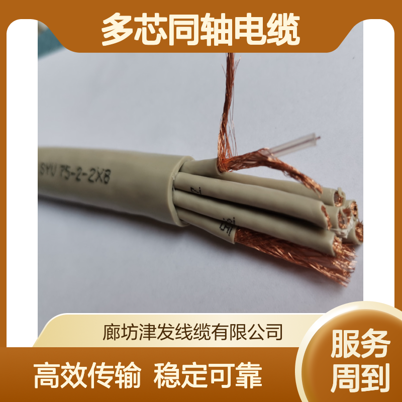 多芯同轴电缆 SYV-75-2-2*8两兆线 通信交换机配线