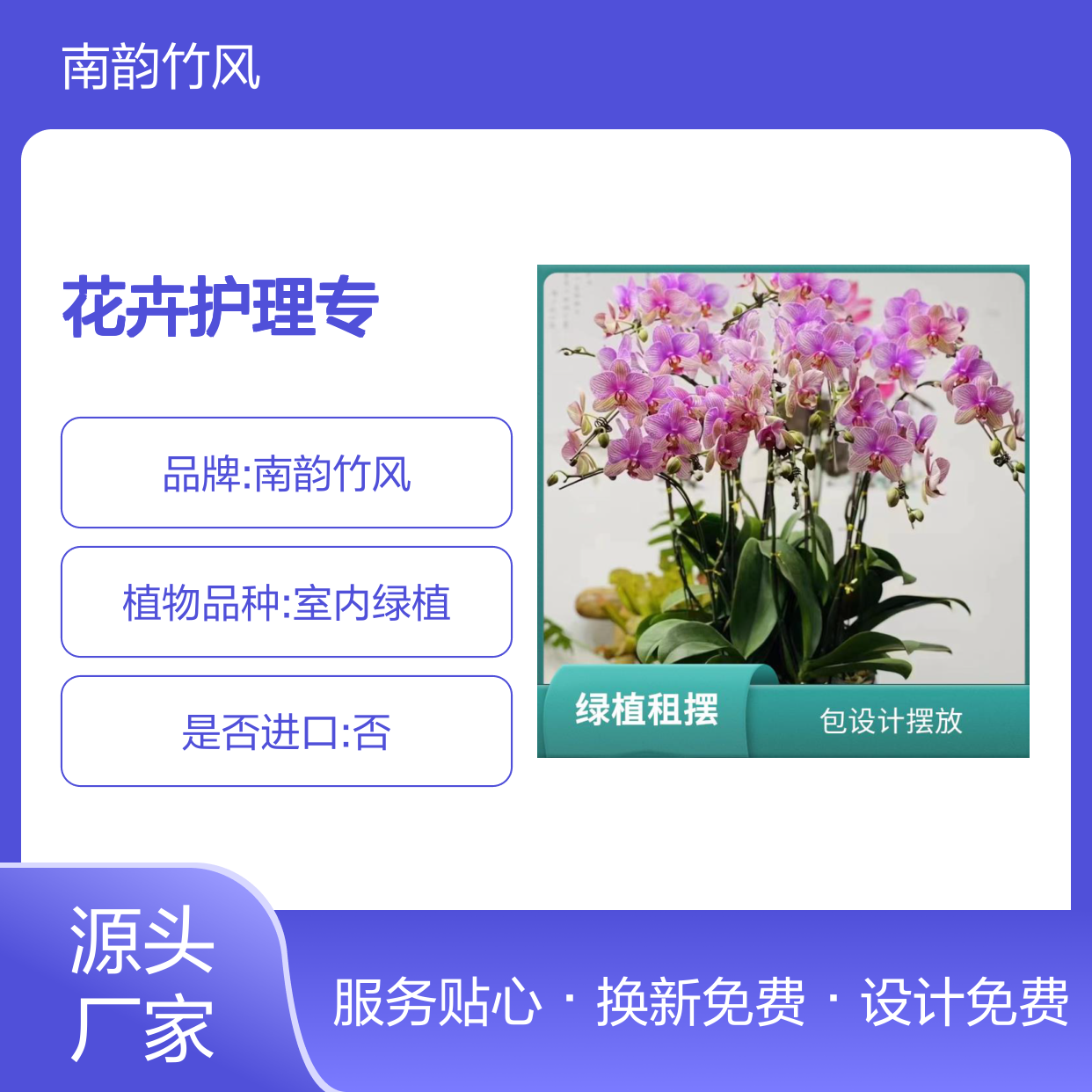 绿植摆租服务 花卉护理专家供应 成活率高 品种多样