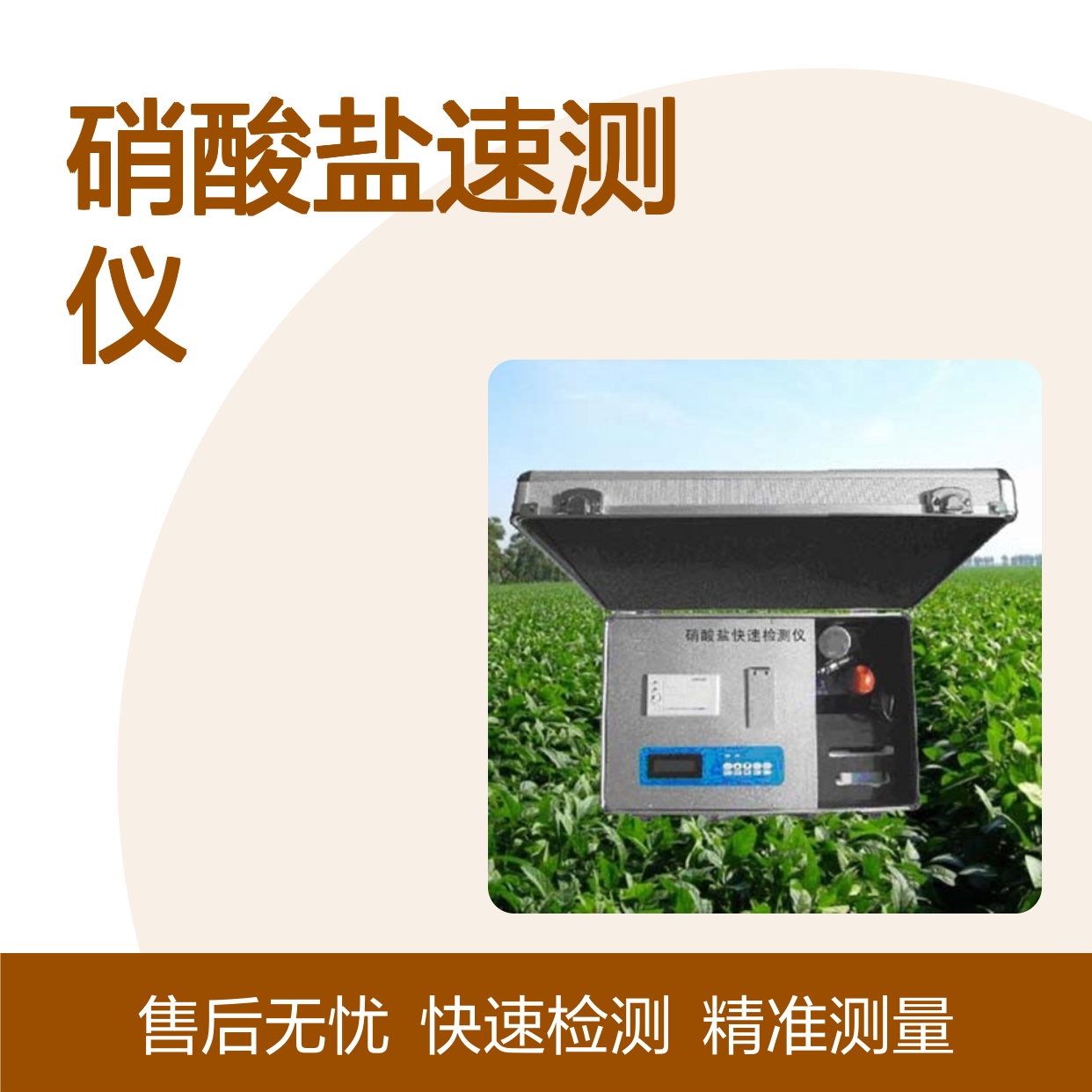 AW-XSY硝酸盐检测仪 硝酸盐速测仪 亚硝酸盐监测仪