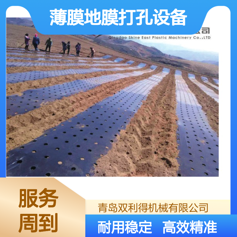 塑料薄膜地膜打孔设备加工定制双利得农膜打孔机生产线