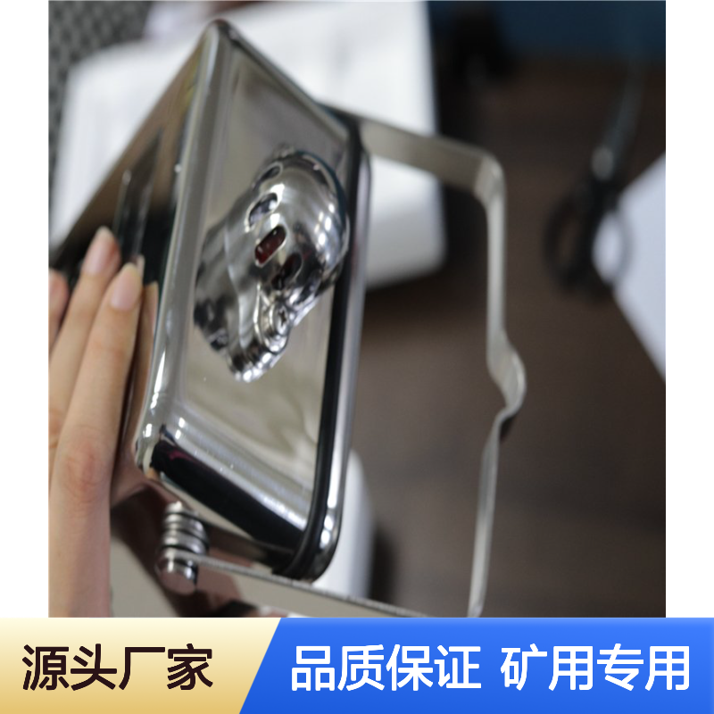 管道温度传感器 GWD100A 煤矿专用 工作稳定 防爆安全