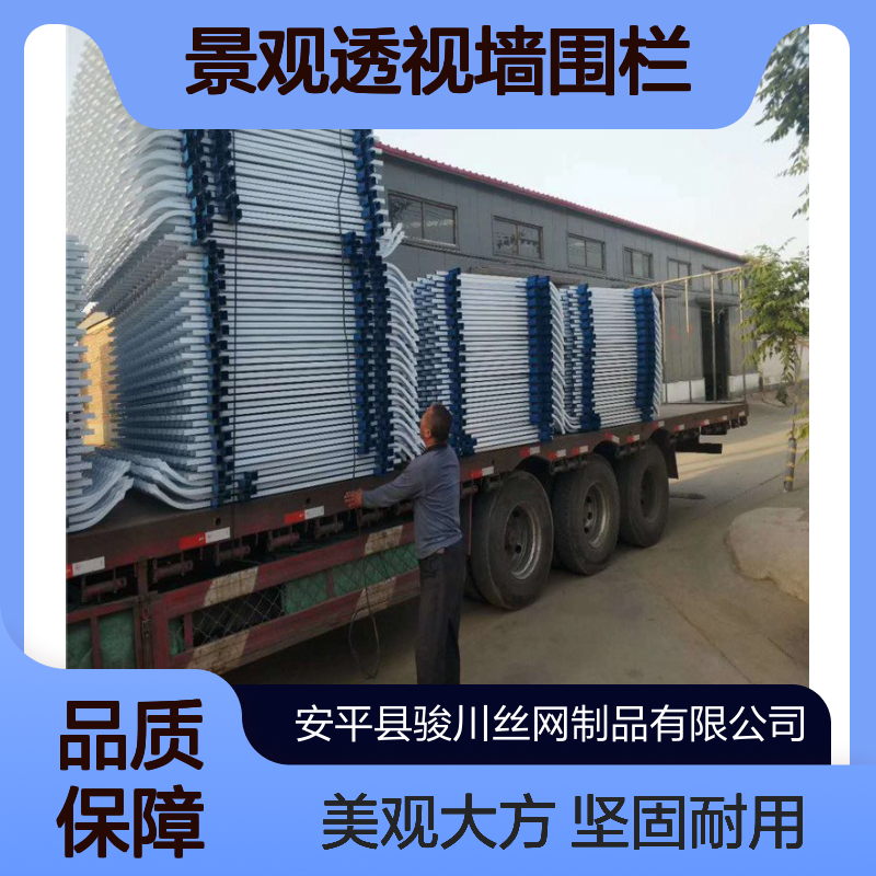 锌钢护栏 景观透视墙围栏 小区围墙 学校厂区庭院铁艺栏杆 骏川厂家