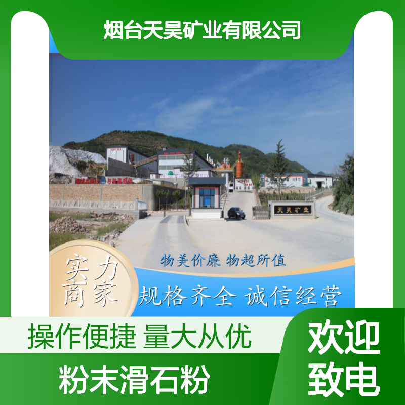 天昊矿业 粉末滑石粉 物美价廉 应用广泛 信誉保证