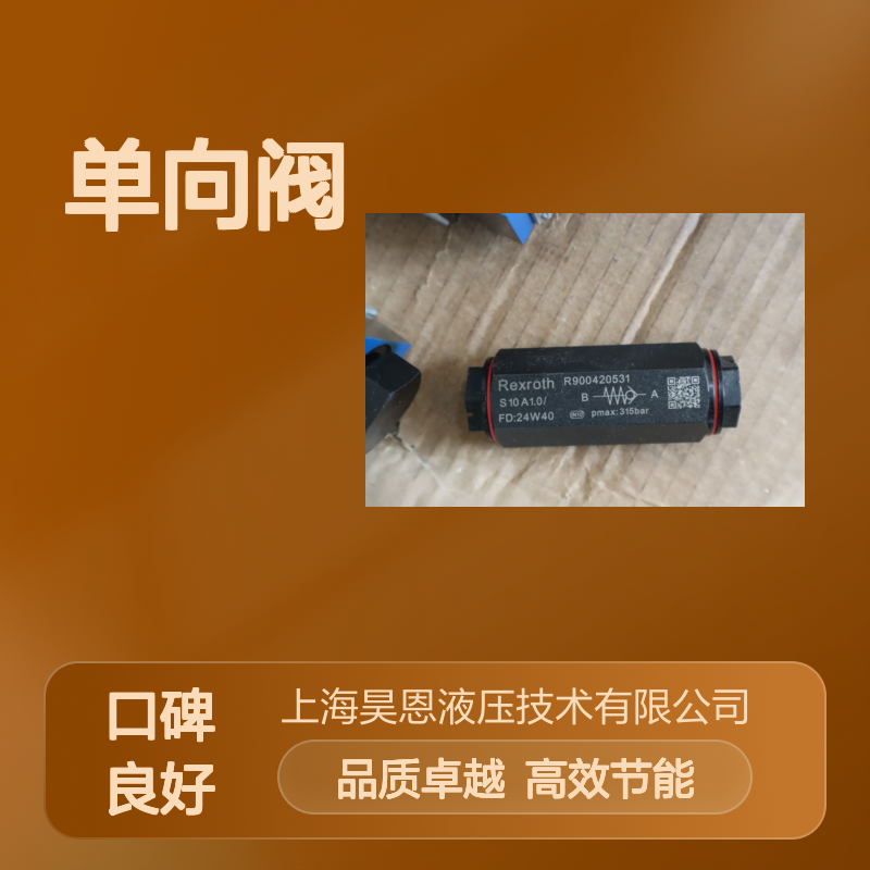 S10A1.0/ R900420531 德国力士乐REXROTH单向阀