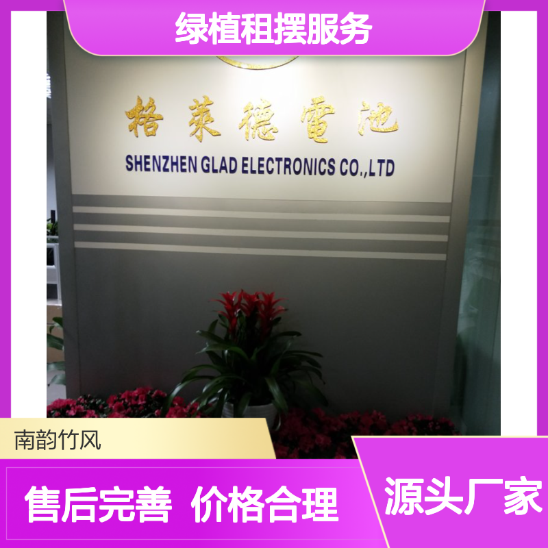 南韵竹风花卉租赁 绿植租摆服务 品种多样 成活率高
