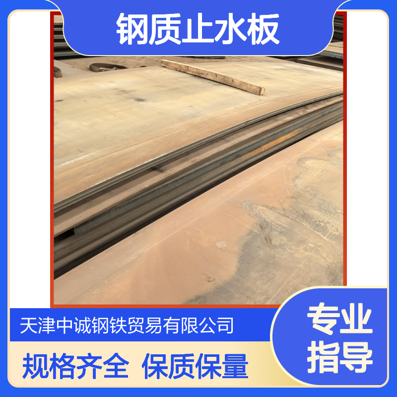 厂家现货 钢质止水板截水钢板 保质保量 规格齐全可切割