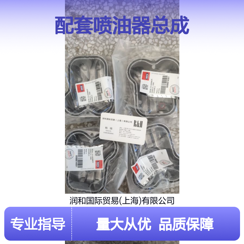Hatz发动机用喷油器总成 4L41C适配型号 工程机械配件