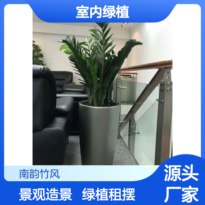 植物租摆固 戍室内绿植景观造景 新型绿植租赁服务 南韵竹风