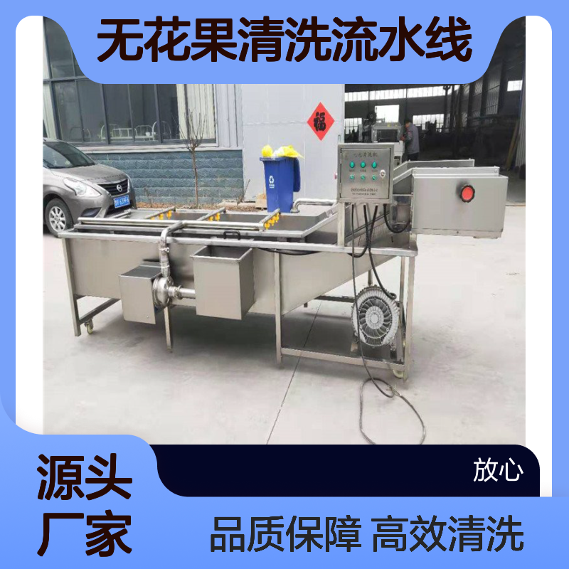 无花果清洗流水线 辣椒清洗设备 辣椒清洗生产线 果蔬清洗机