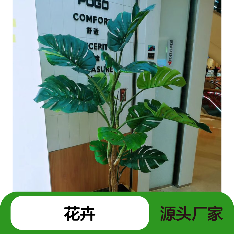 花卉租摆 蛇口写字楼绿植景观布置 新型植物租赁模式 花箱景观出租