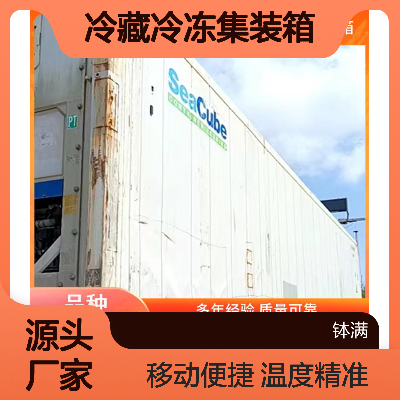 冷藏冷冻集装箱 出租出售 温度控制精准 移动便捷设计