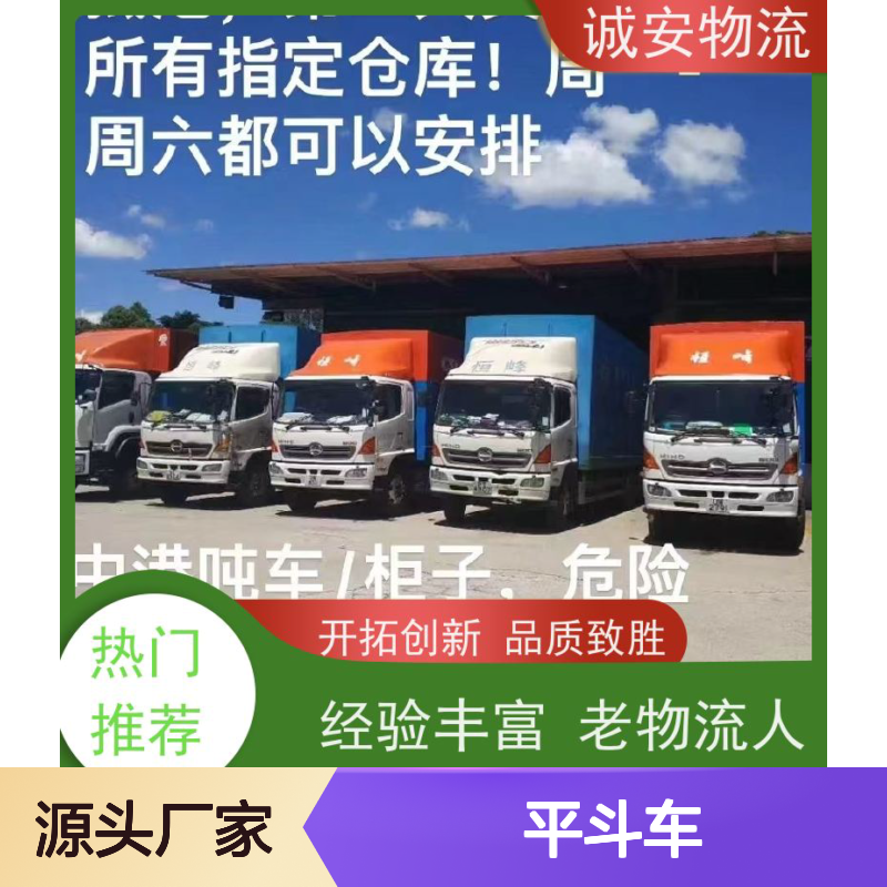诚安物流 平斗车运输 阳江东莞线天天发车 报关服务