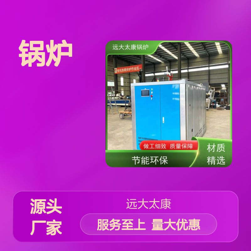 远大太康 5吨用户免报检 D级食品加工锅炉 节能环保高效