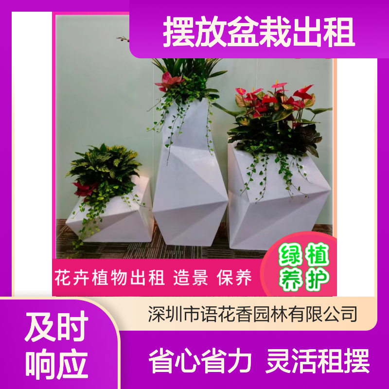 绿植盆栽出租服务 办公室工厂绿化设计 长期短期灵活租摆