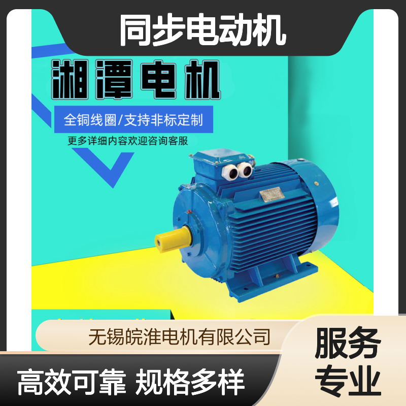 湘1潭2电机TBPKS大型变频调速同步电动机高性能调速