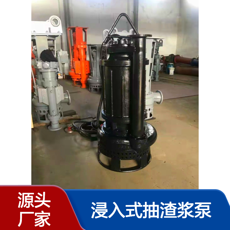 潜水型抽泥沙泵 浸入式抽渣浆泵 不虚标 源头厂家 国标纯铜电机