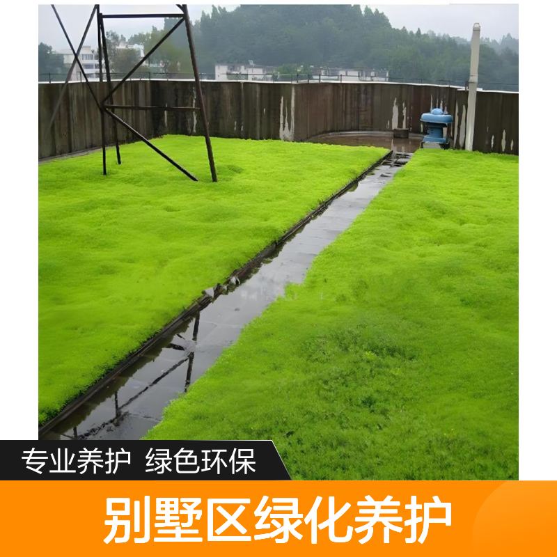 园林绿化施工维护龙 岗别墅区绿化养护 小区绿化劳务