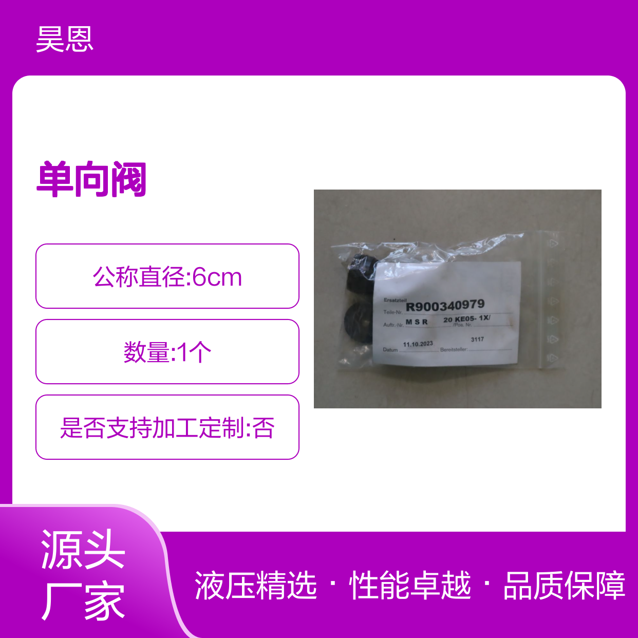 R900340979 M-SR20KE05-1X/ 德国力士乐REXROTH单向阀