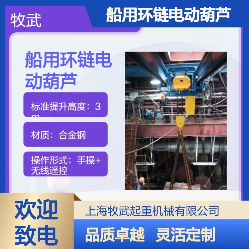 12.5t船用环链电动葫芦 15m起升 CCS船级社认证 合金钢材质 440V 60Hz