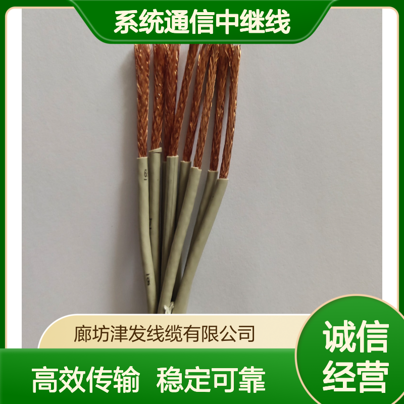 电站系统通信中继线SYV-75-2-2多芯同轴电缆