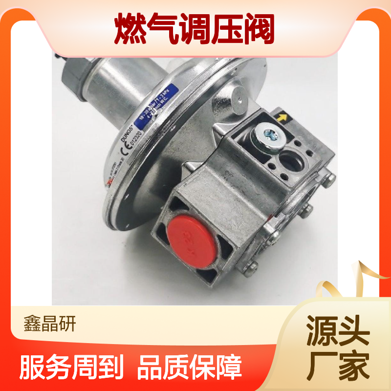 DUNGS品牌45级燃气调压阀 全新工业阀门 工作气压10PaFRS507