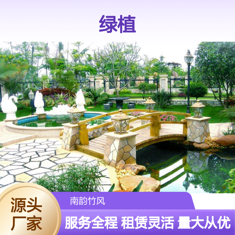 南韵竹风绿植租赁服务 承接绿化工程 品种多样