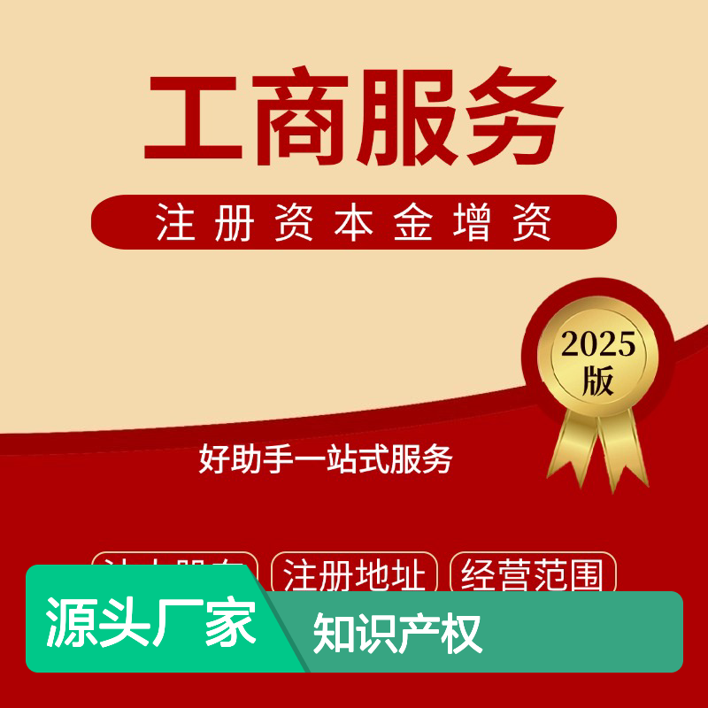 专业团队公司注销 知识产权高效处理 好助手一站式服务