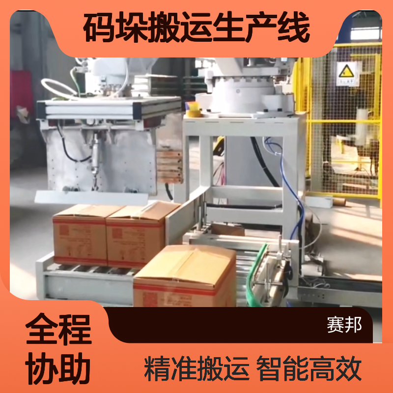 赛邦智能 加视觉机器人码垛搬运生产线 定制编程示教 DCVR-3491