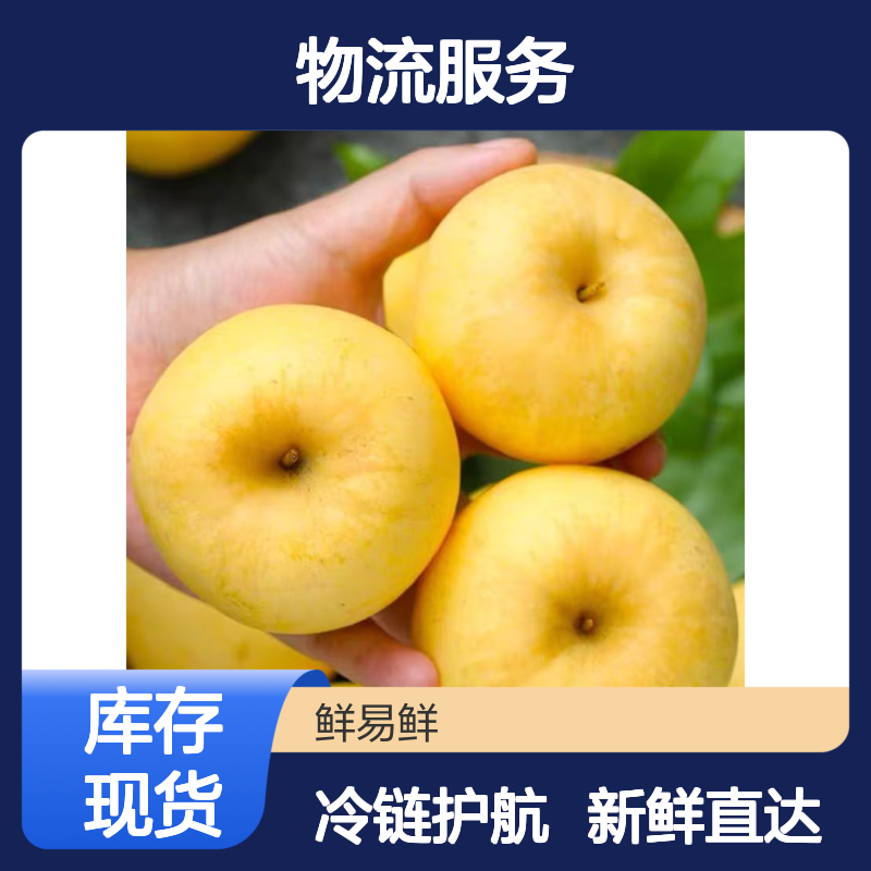 维纳斯黄金苹果冷藏运输 城乡双向冷链物流服务
