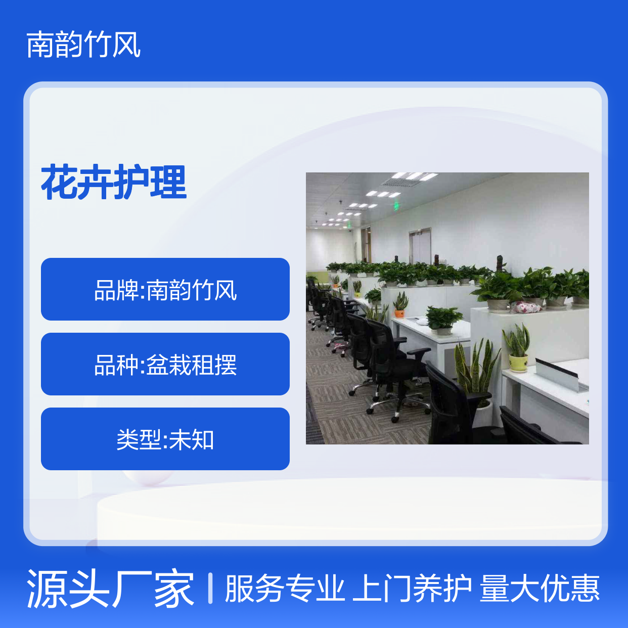 南韵竹风花卉护理 盆栽租摆服务 成活率高 品种多样
