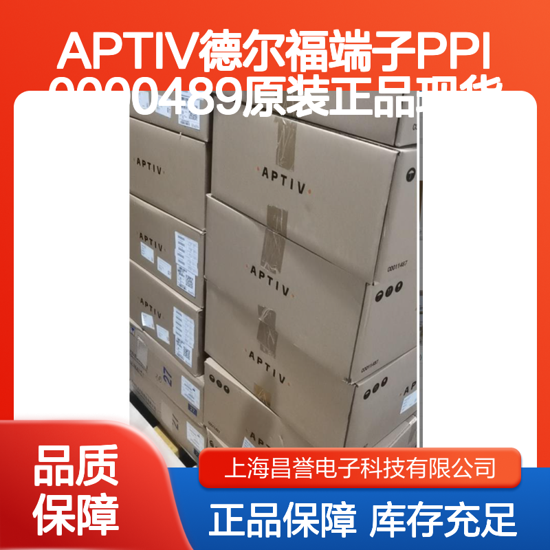 APTIV德尔福端子PPI0000489 原装正品现货 国内代理进口保障