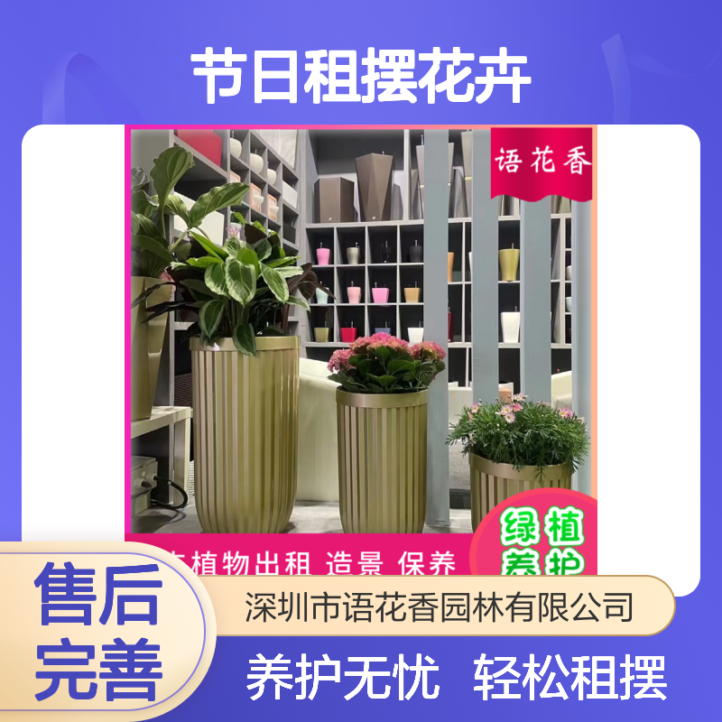 节日租摆花卉 蝴蝶兰盆栽 长期短期灵活租赁 全程养护服务