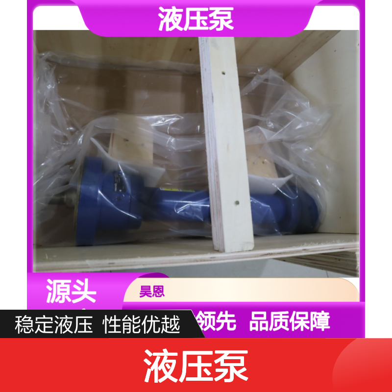 力士乐REXROTH液压泵 240316型号 液压系统专用
