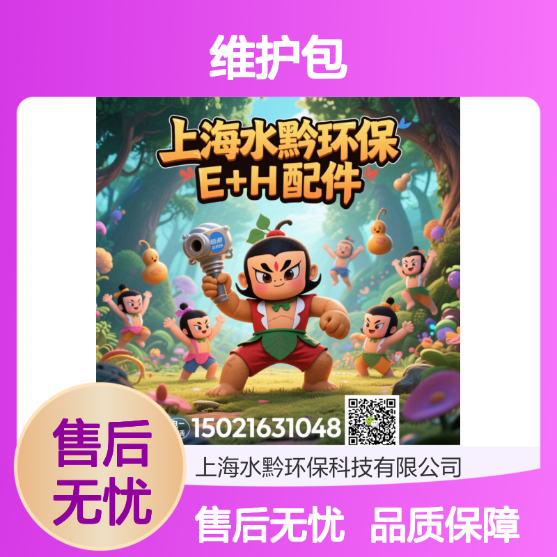 E+HCA80TN维护包CAV880-SXS61 专业E+H分析配件 精准监测必备